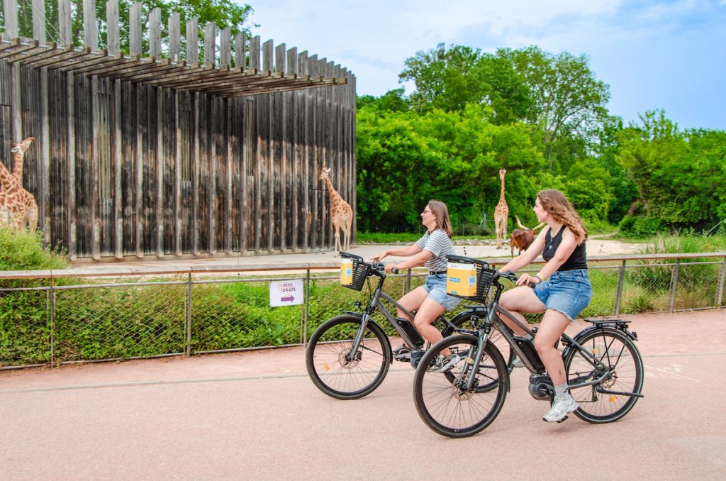 Visiter le parc de la Tête d'Or à vélo électrique en location